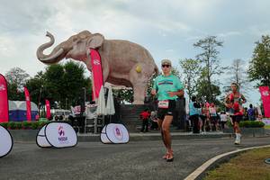 BIB: 
                            <button type="button" onclick="openModal(26528928)" class="btn btn-primary btn-sm float-right btn-popup" data-toggle="modal" data-target=".modal-high-quality">
                        <i class="fas fa-shopping-cart"></i> Add to Cart
                    </button>
                                            <button type="button" onclick="isThisMe(26528928, true)" class="btn btn-success btn-sm float-right btn-popup btn-isme hidden" data-toggle="tooltip" data-placement="bottom" title="นี่คือรูปของคุณใช่ไหม คลิกที่นี่เพื่อเอาเข้าอัลบั้ม">
                        <i class="fas fa-plus"></i> Add to album
                    </button>
                    <button type="button" onclick="isThisMe(26528928, false)" class="btn btn-warning btn-sm float-right btn-popup btn-isnotme hidden">
                        <i class="fas fa-ban"></i> Remove from album
                    </button>